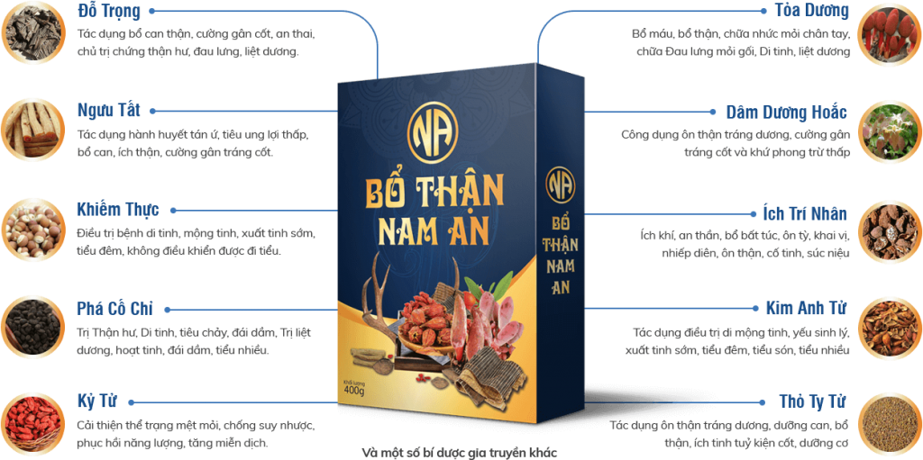 bo-than-nam-an
